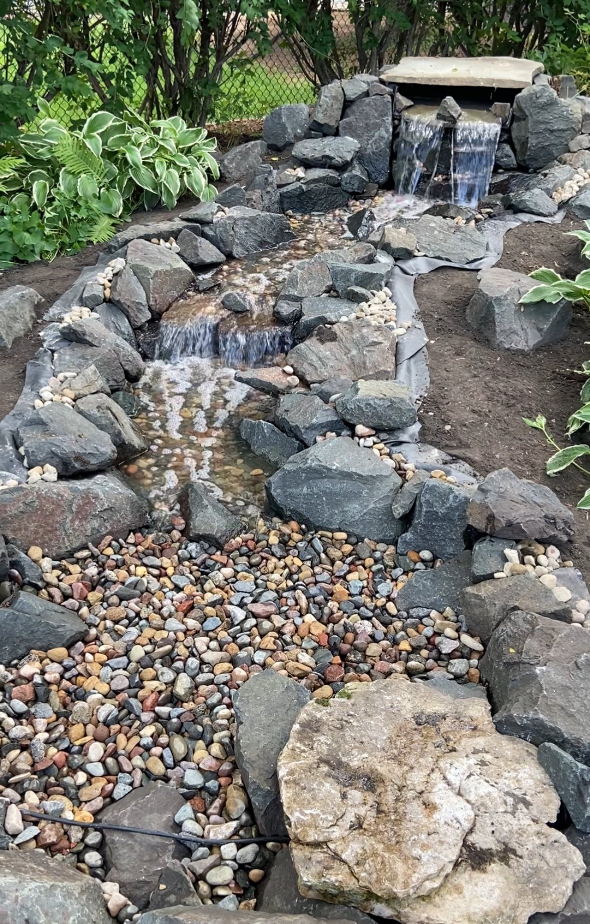 pond5.jpg