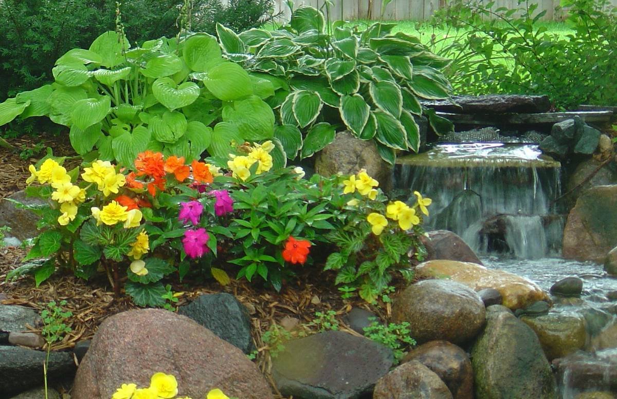 planting.jpg