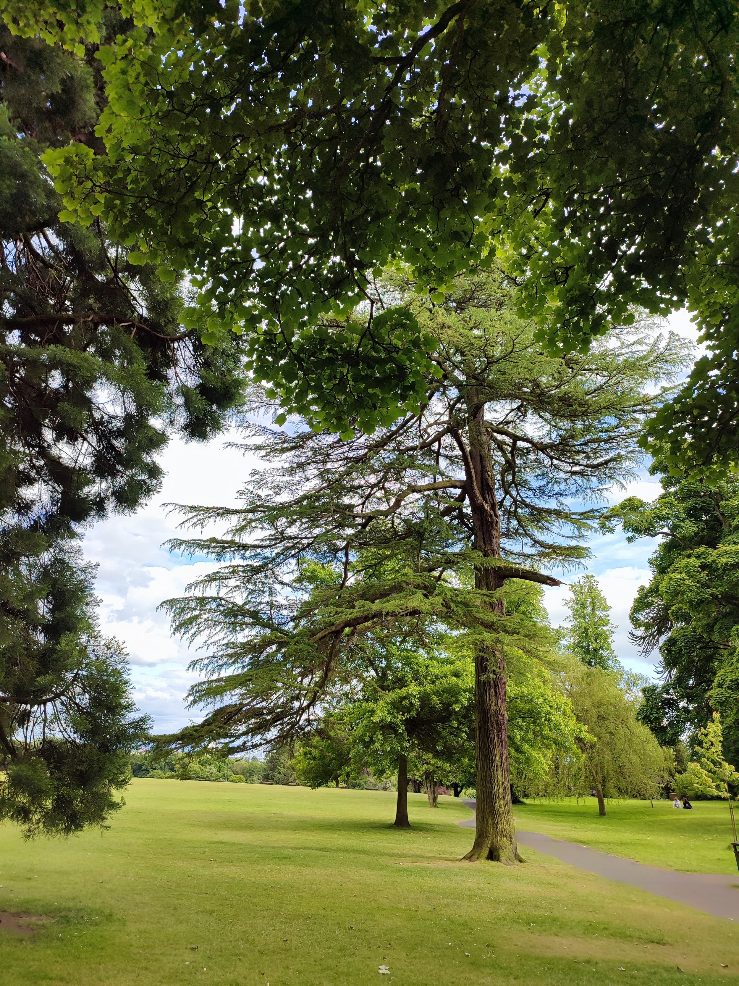 The Glen, Dunfermline
