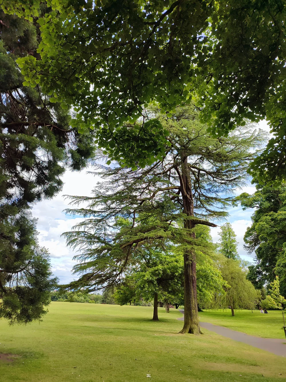 IMG_20240611_174455 (1).jpg