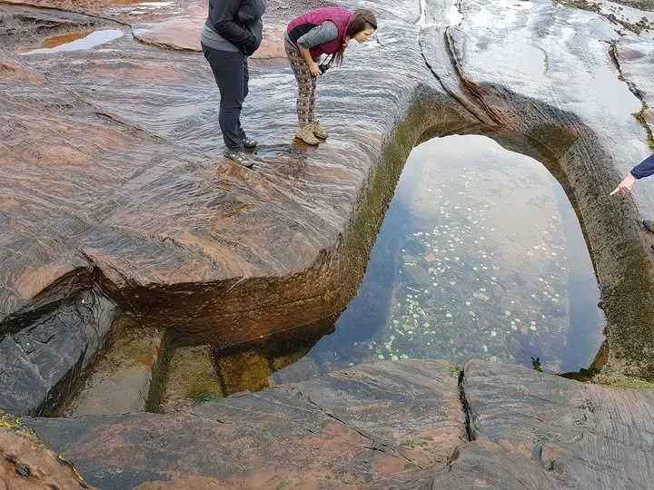 Ancient Wisdom for Modern Minds: How Practices Like Yoga and Tai Chi Nurture Our Nervous Systems