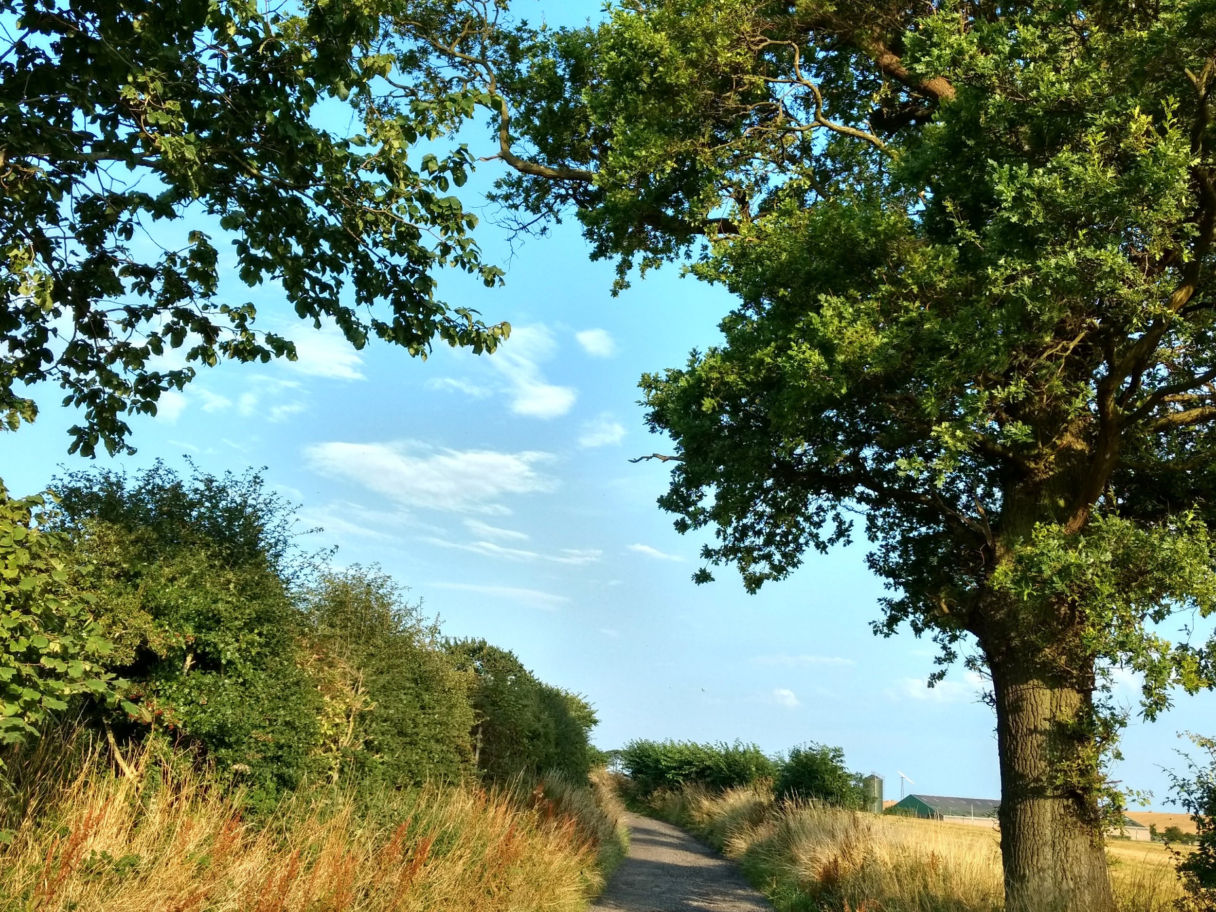 SW Fife