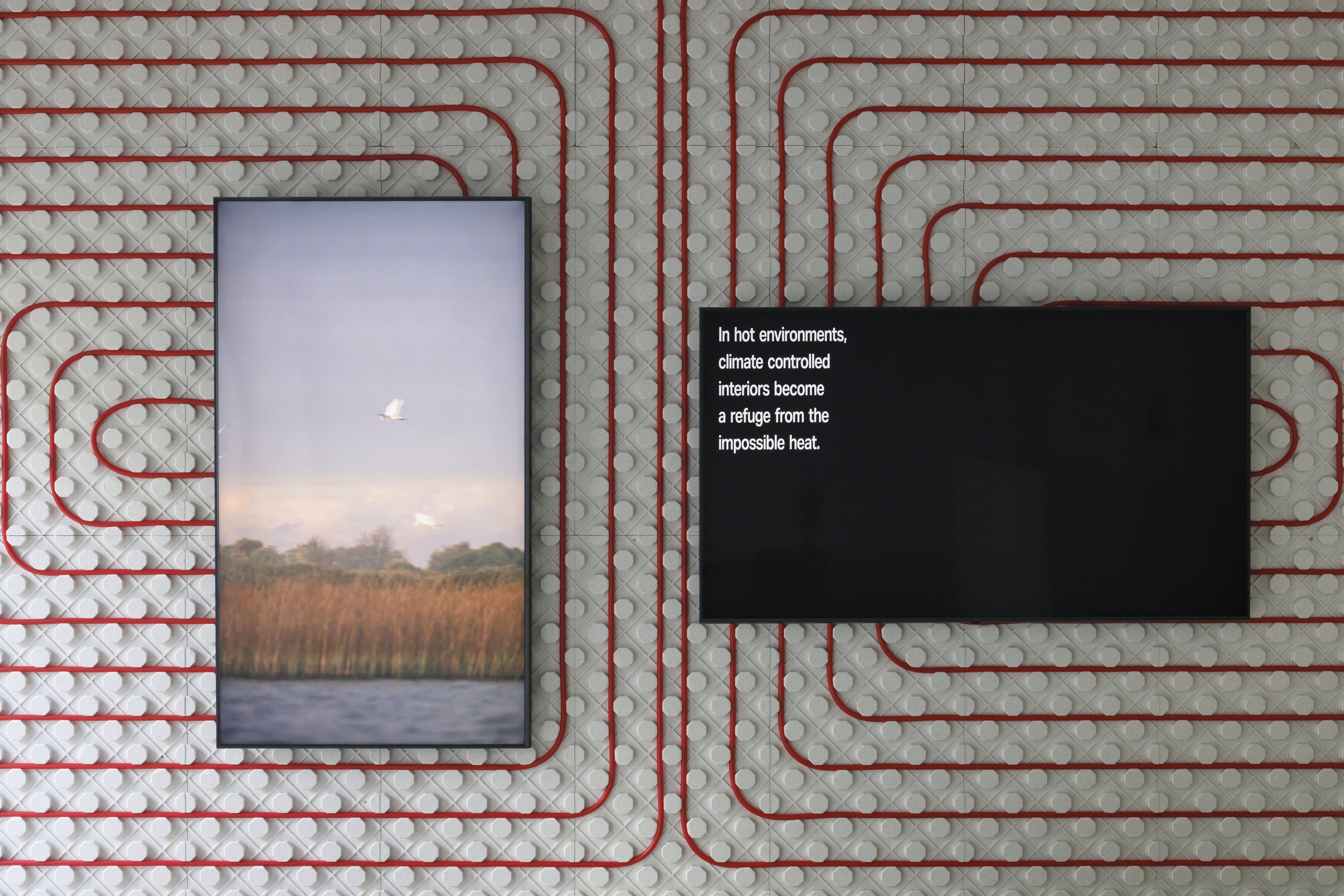 Installation view, Gabija Grušaitė, CIRCUALATION, 2026. Photo: Ansis Starks