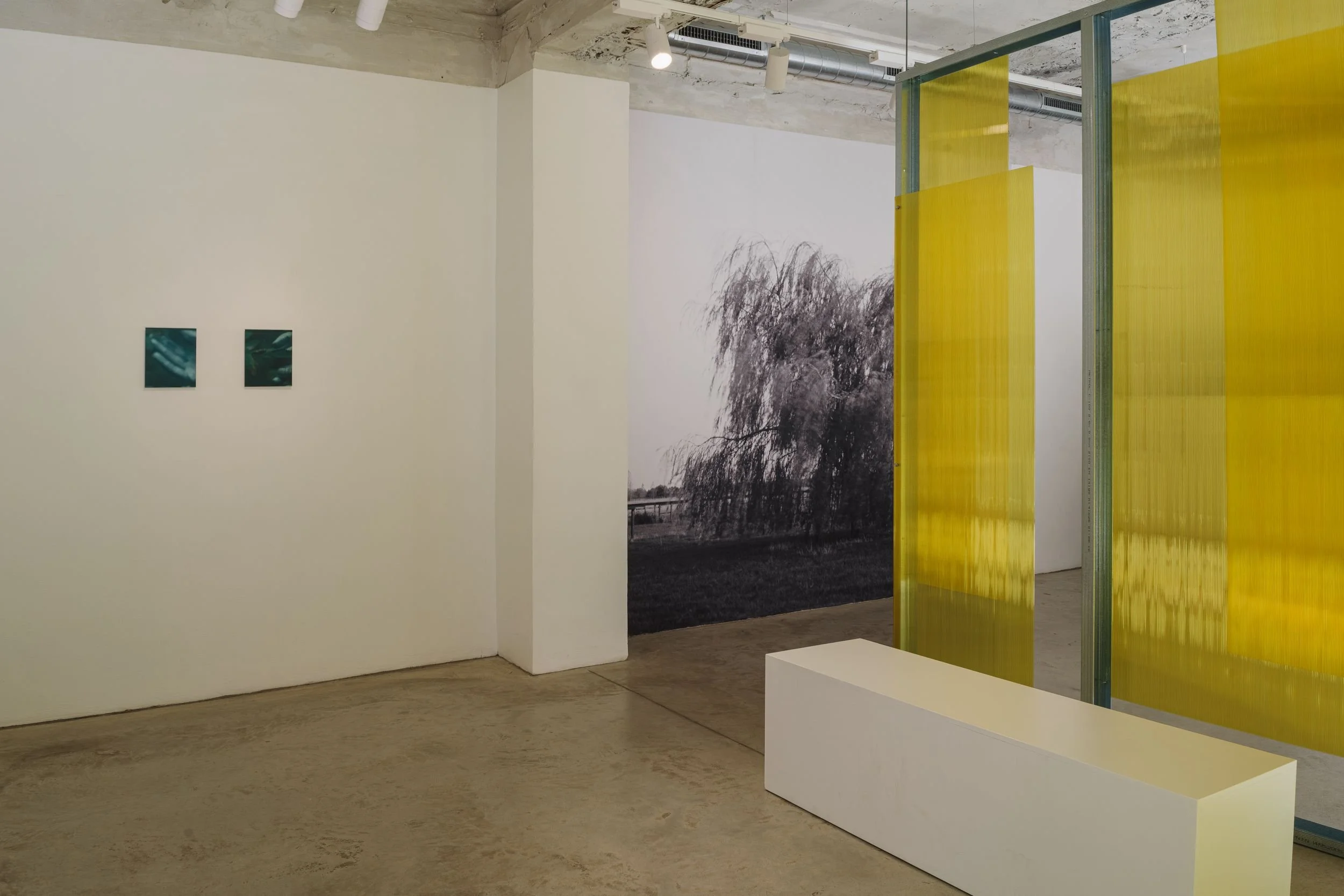 Installation view, A Vocabulary for Ghosts, 2026. Photo: Dasha Trofimova.