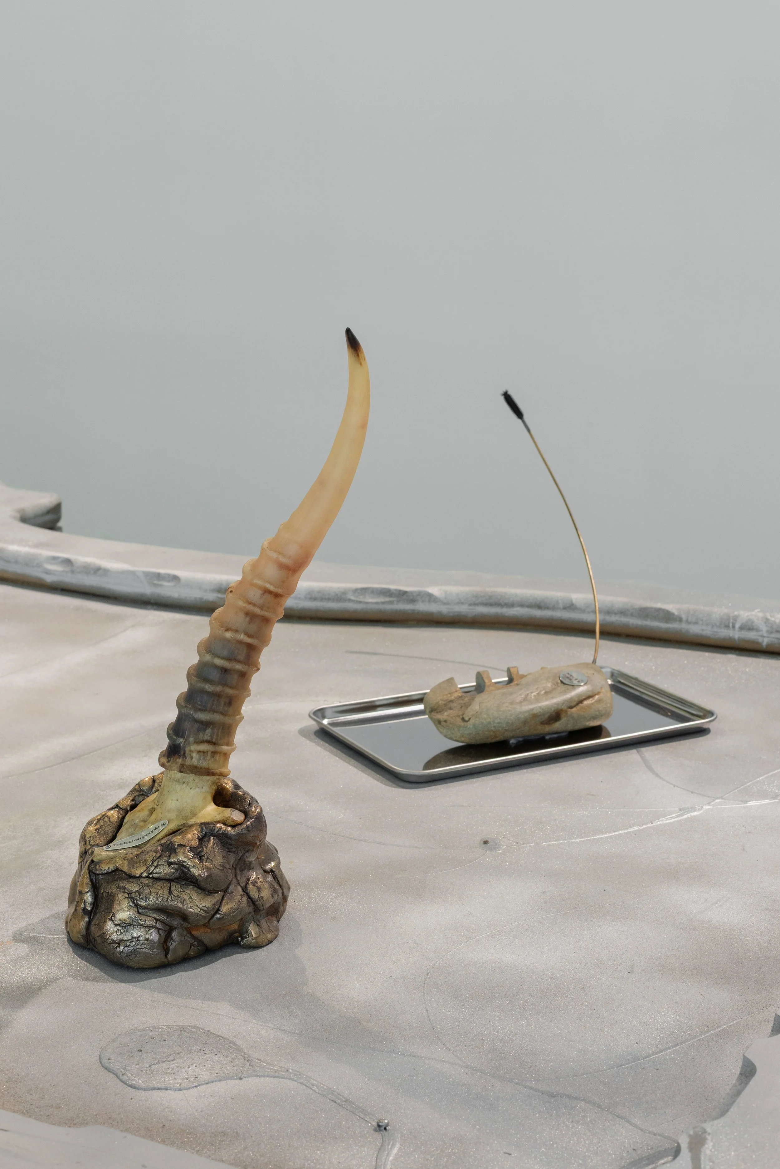 Installation view, Neanderthal Beauty Clinic, 2026. Photo: Kristīne Madjare