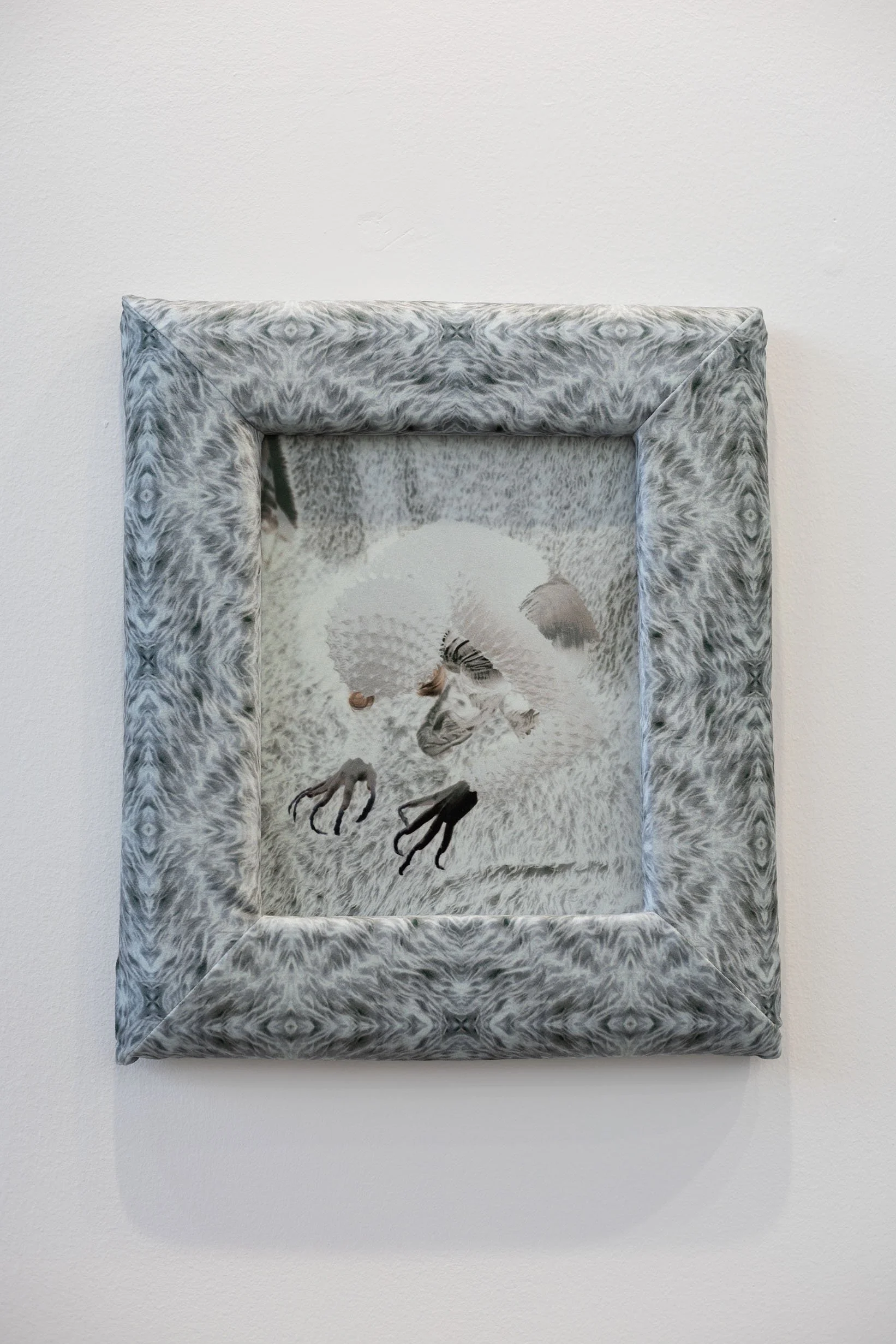 Agate Tūna, From series: Voltentity, 2025, Double photoprint on plexiglass, 32 x 25 cm.
Photo: Agnese Tauriņa.