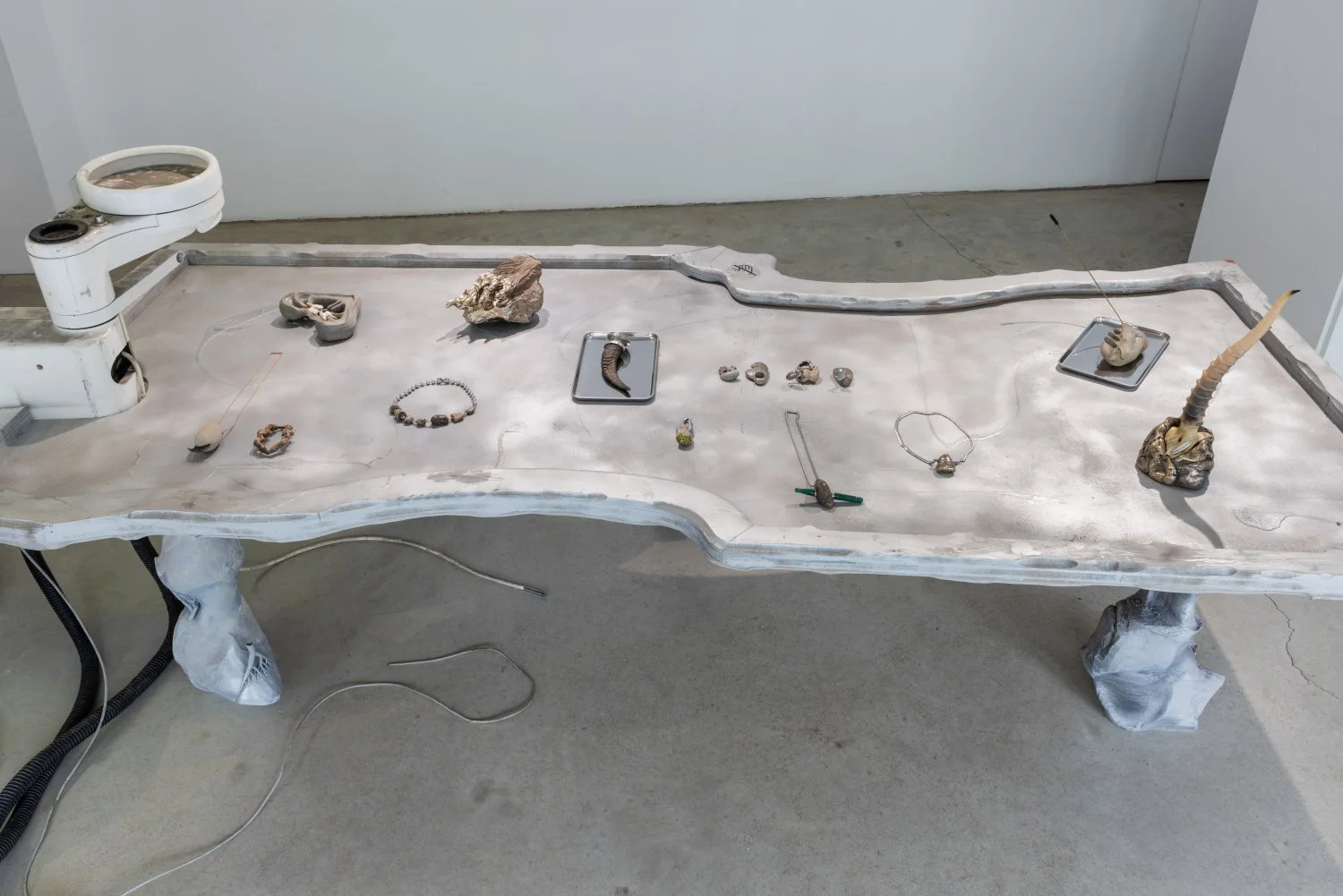 Installation view, Neanderthal Beauty Clinic, 2026. Photo: Kristīne Madjare