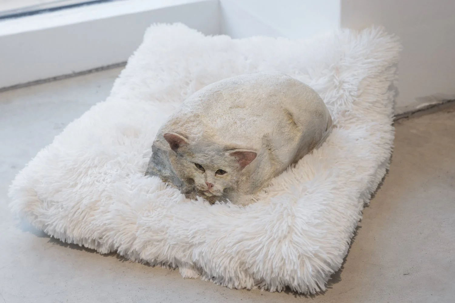 Ieva Putniņa, Kaķa Kungs, 2025, Granite, oil paint. Photo: Kristīne Madjare.