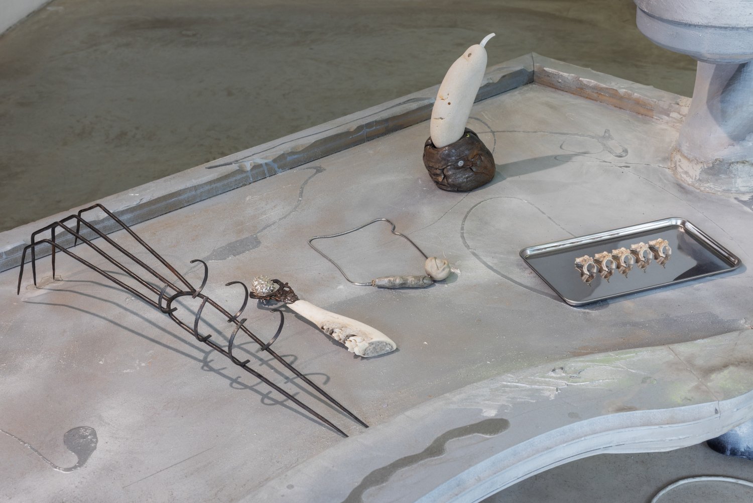Installation view, Neanderthal Beauty Clinic, 2026. Photo: Kristīne Madjare