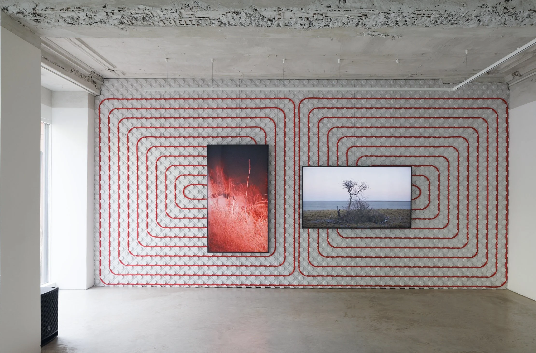 Installation view, Gabija Grušaitė, CIRCUALATION, 2026. Photo: Ansis Starks