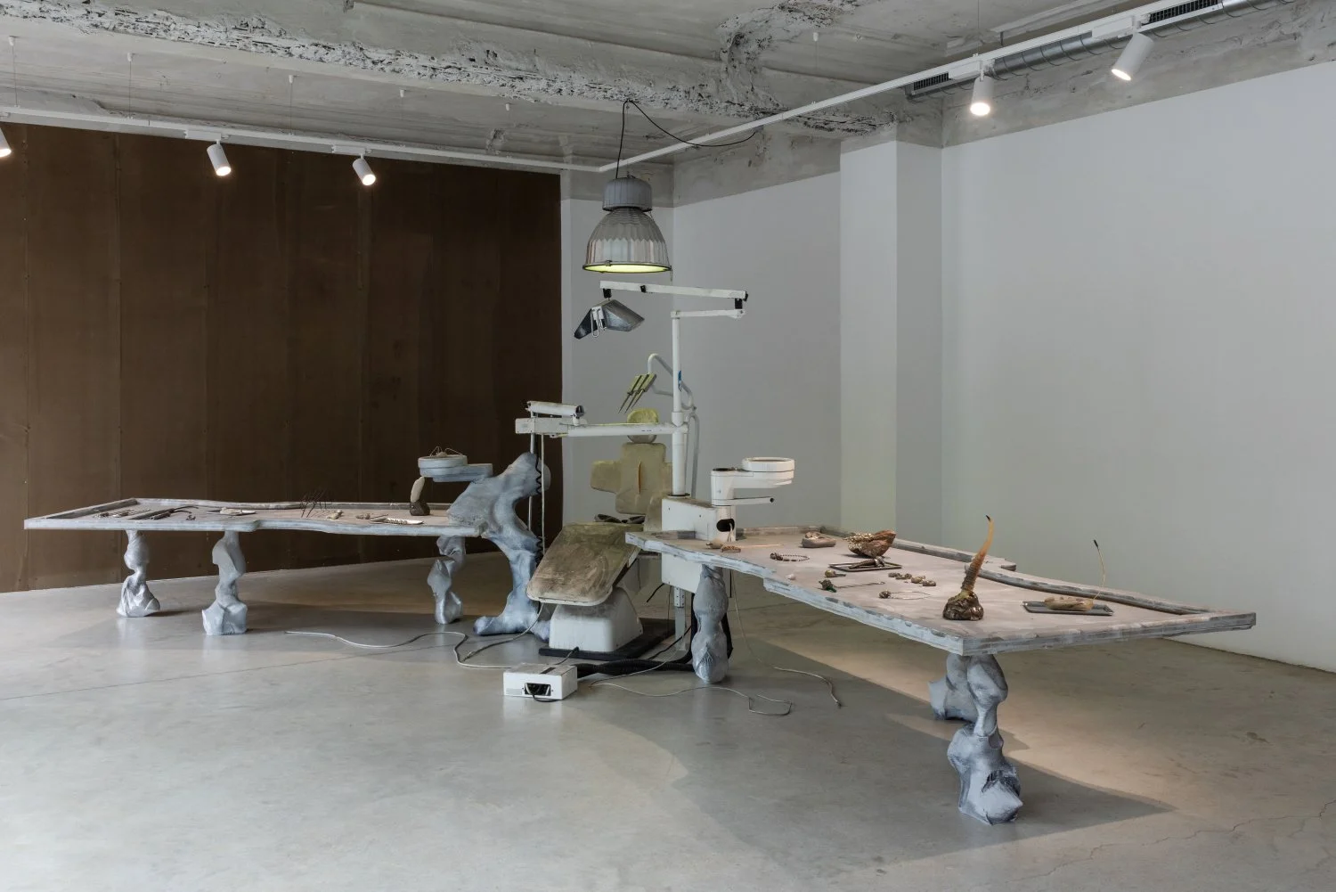 Installation view, Neanderthal Beauty Clinic, 2026. Photo: Kristīne Madjare