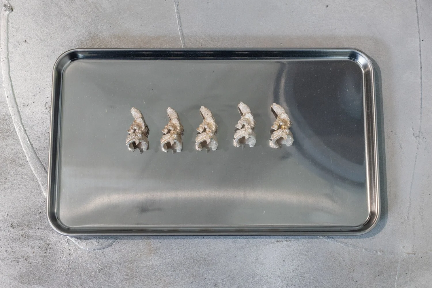 Madlen Hirtentreu, Rings, 2026, oxydized silver. Photo: Kristīne Madjare