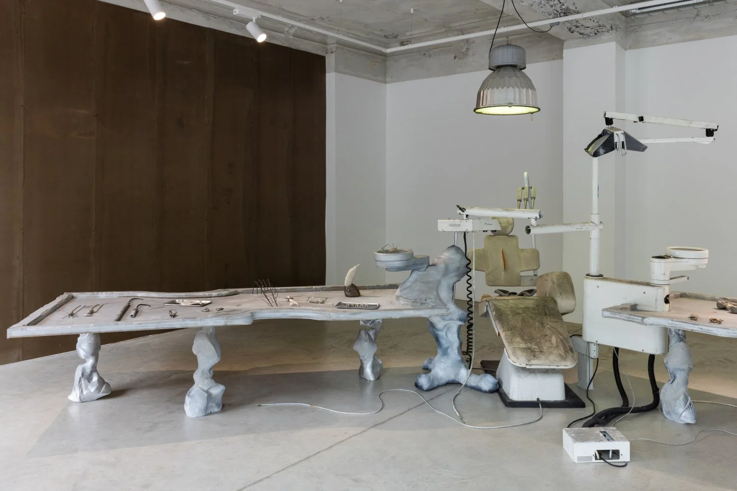 Installation view, Neanderthal Beauty Clinic, 2026. Photo: Kristīne Madjare