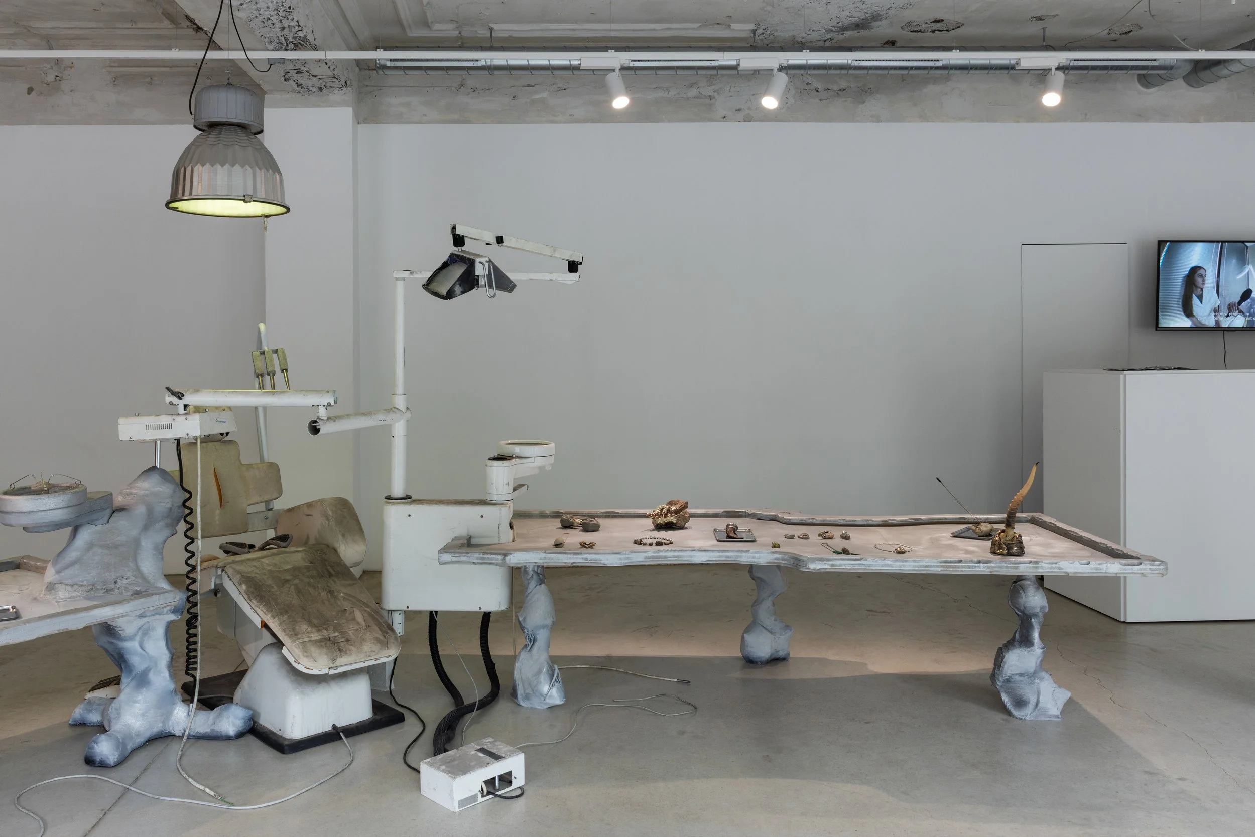Installation view, Neanderthal Beauty Clinic, 2026. Photo: Kristīne Madjare