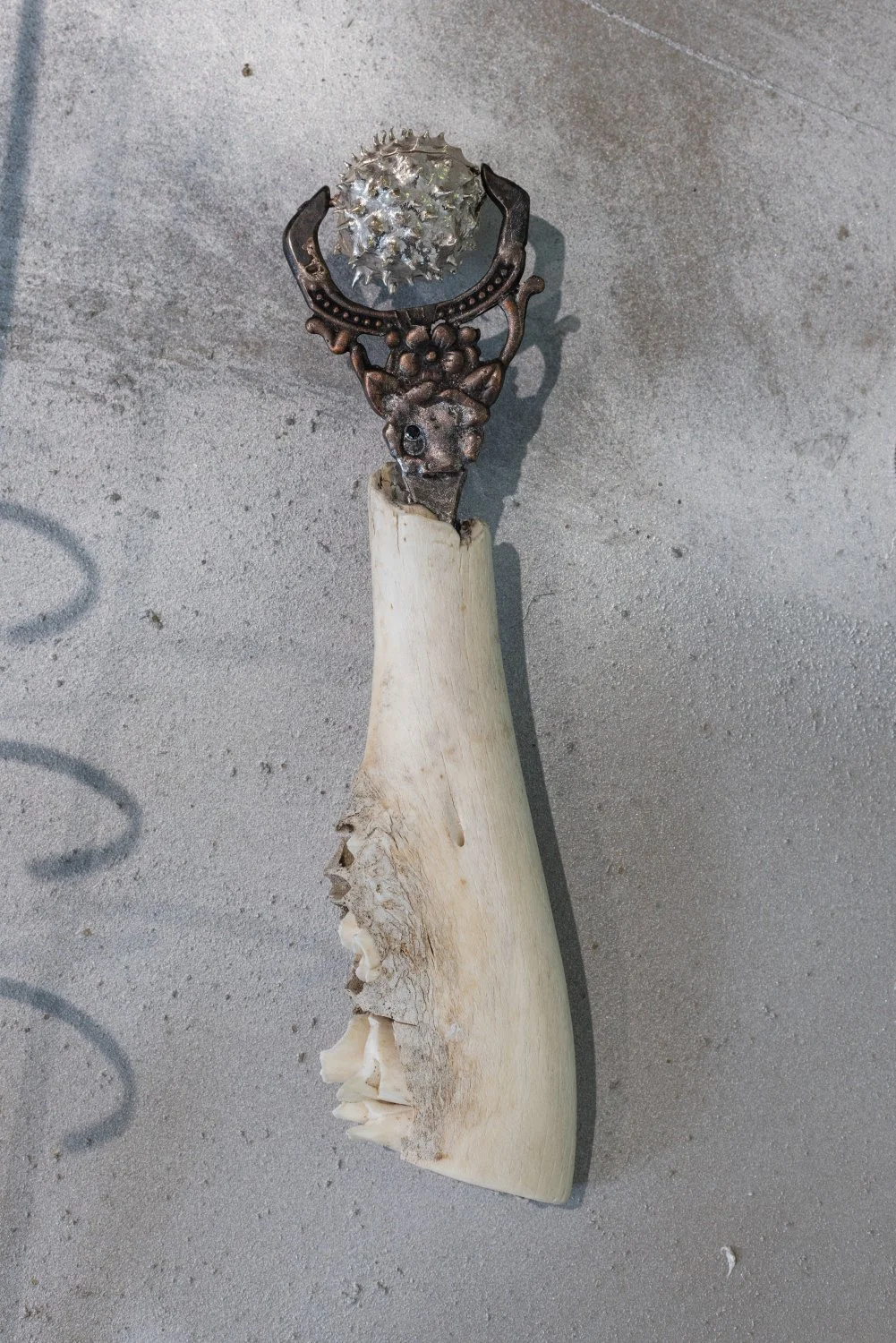 Madlen Hirtentreu, Sculptural object, 2026, silver, ancient chestnut, bronce,
bovine bone. Photo: Kristīne Madjare