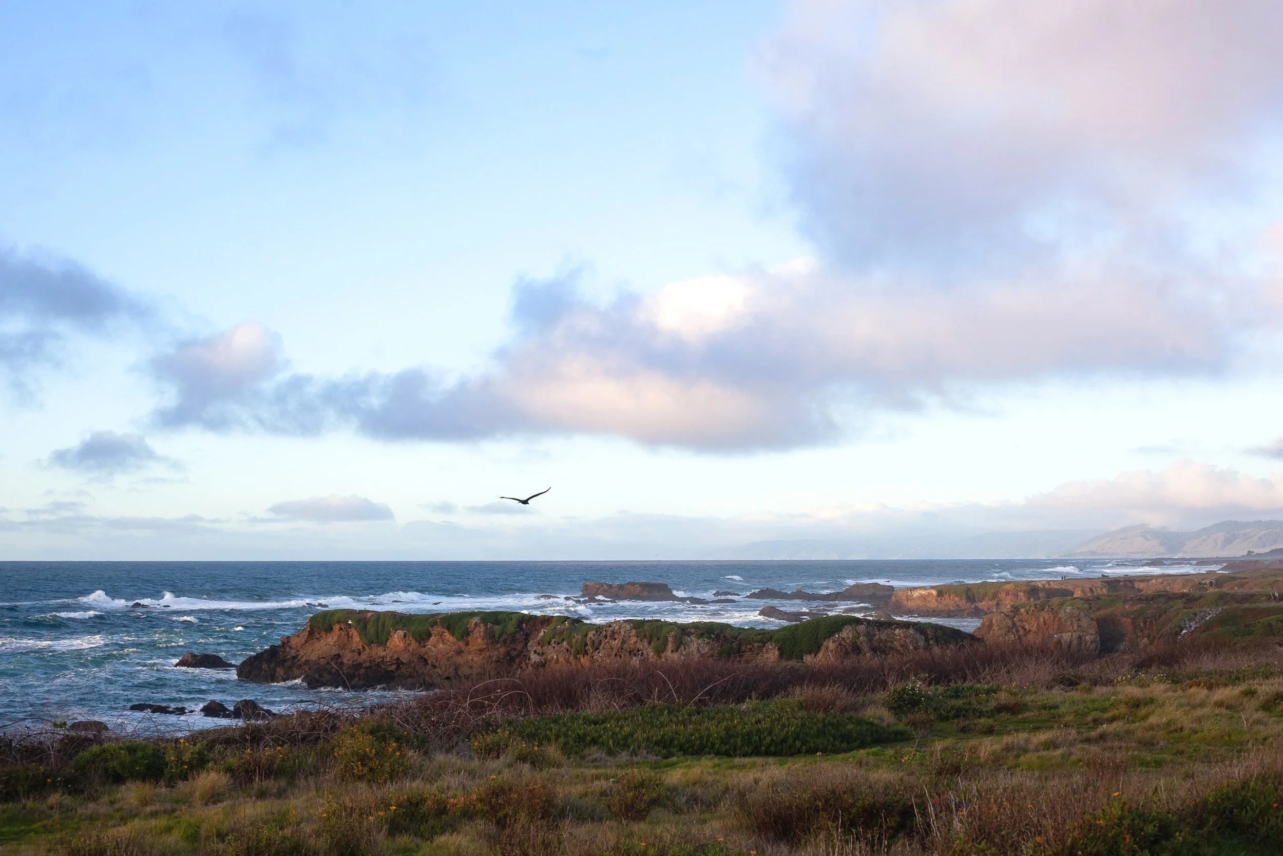 Coastal landscape with rocky cliffs, green vegetation, ocean waves, cloudy sky, and a bird flying.
