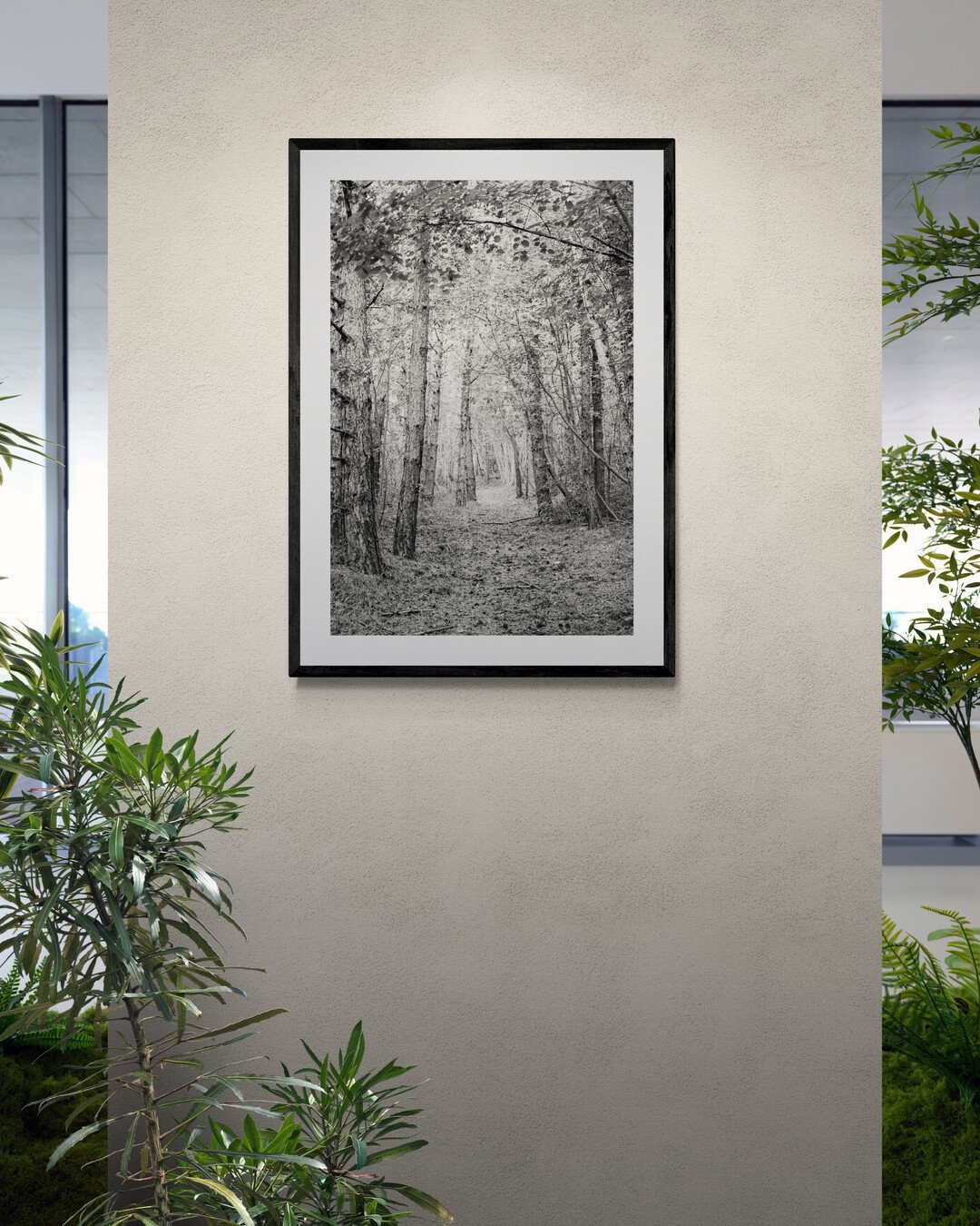 Forest Path