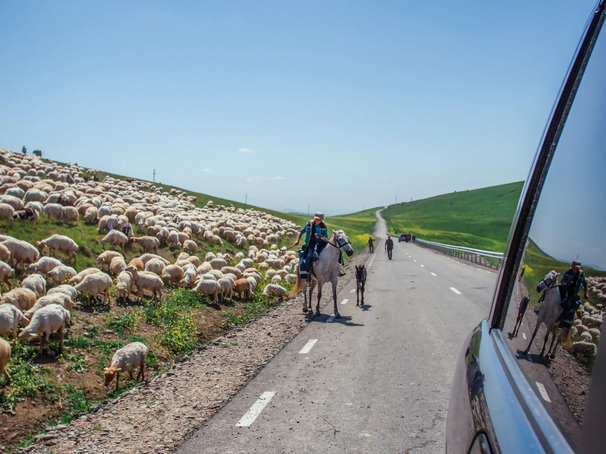 A person riding a horse on a rural road with a flock of sheep grazing on the hillside to the left, green rolling hills in the background, and a car's side mirror reflecting the rider. The sky is clear and blue.