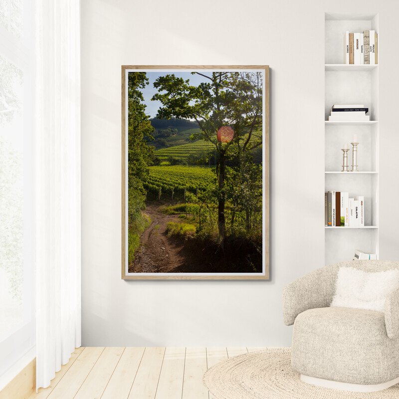 Vinyard Path