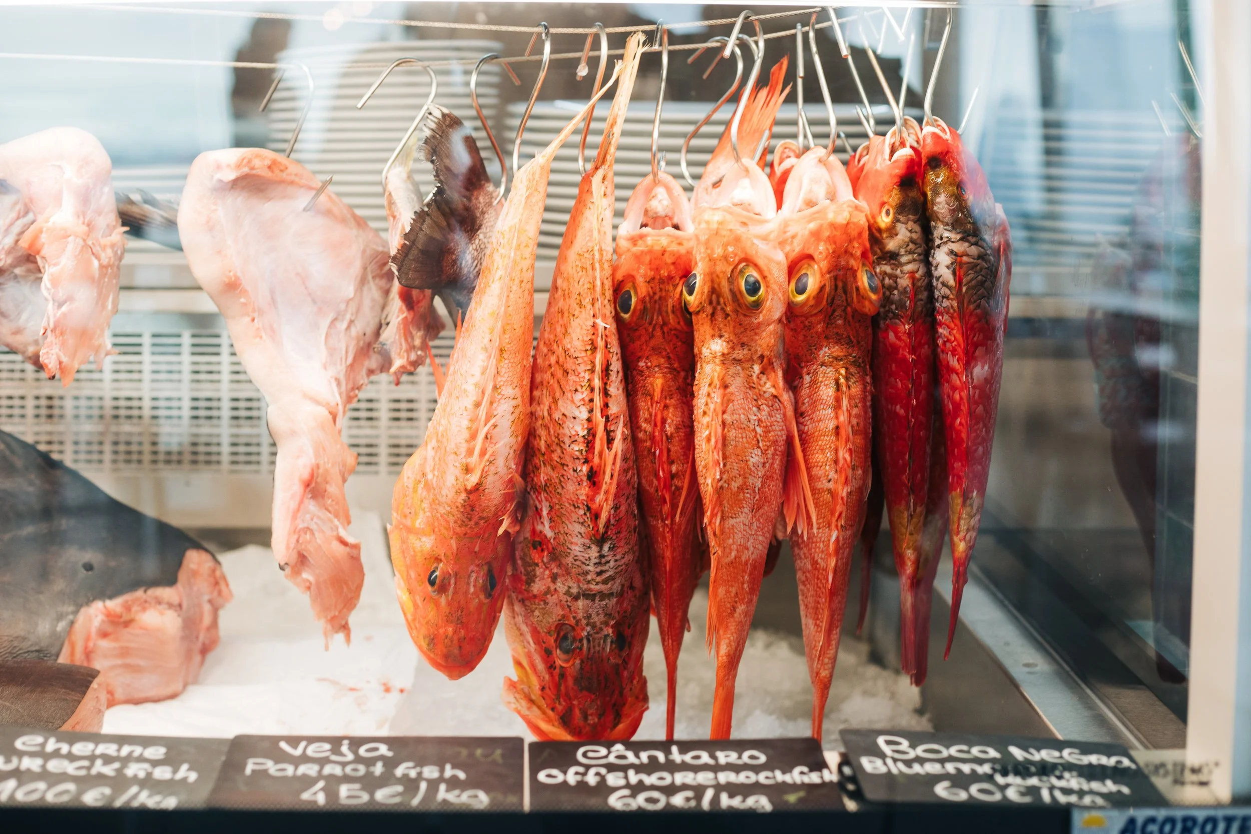 Fresh whole fish hanging in a display case at a market, with price tags below in Spanish.