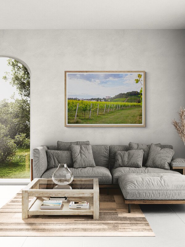 Vinyards