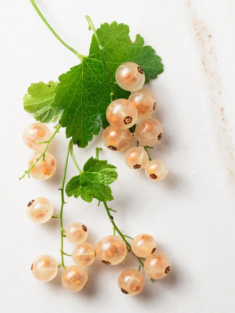 Cluster of white currants with green leaves on a white background.