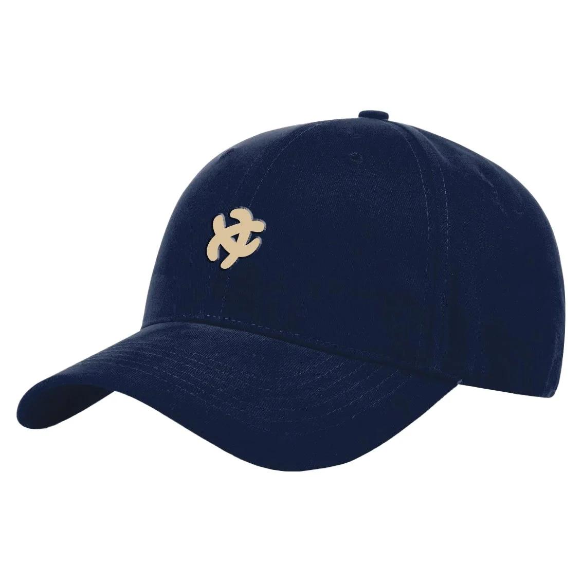 Curious TWILL Cap