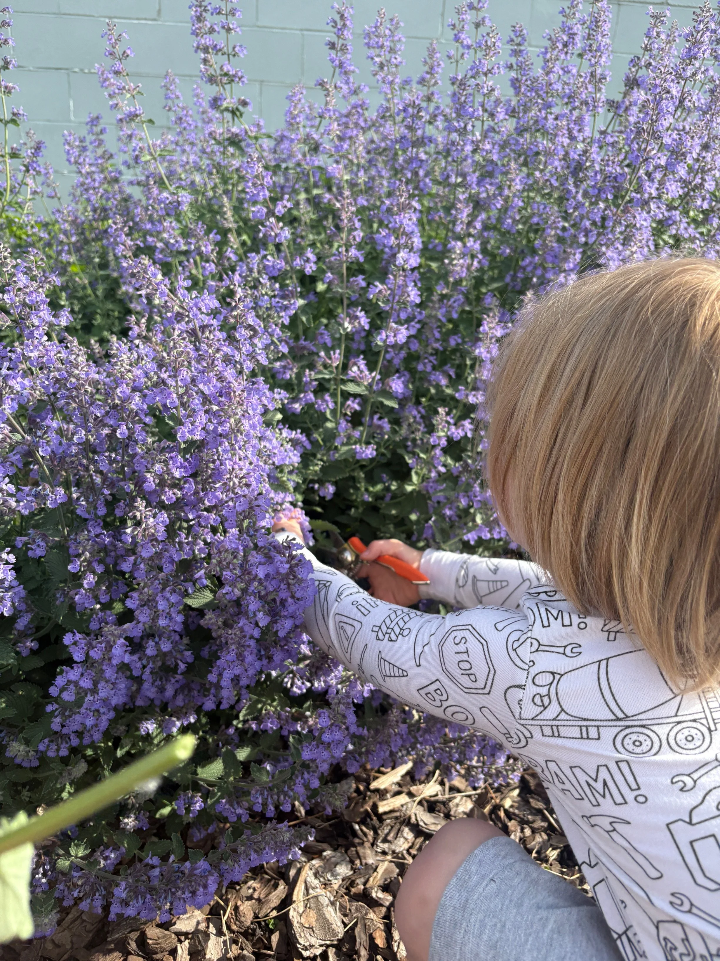 Nature in Early Childhood: Learning Through Relationship With the Living World