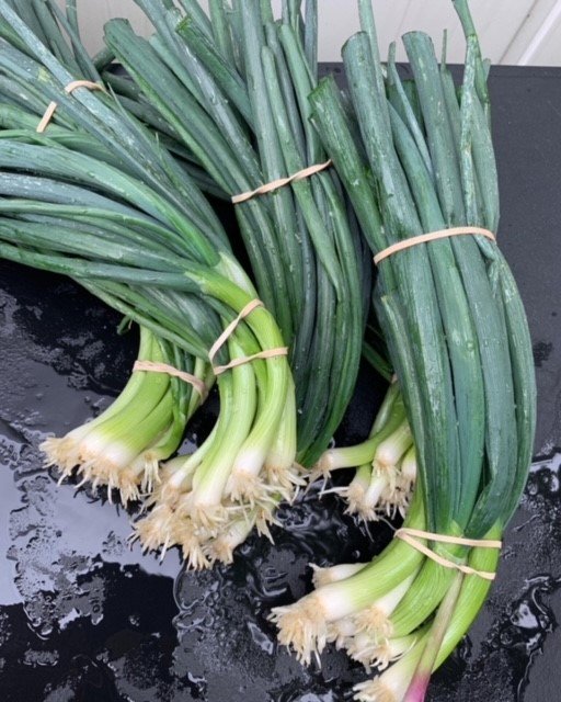Green Onions