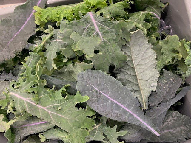 Kale mix