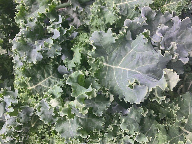 Darkiboar Kale