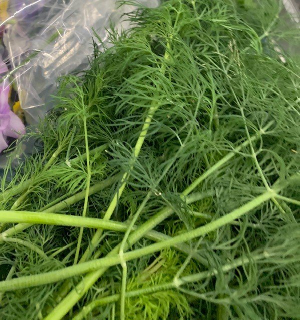 Dill