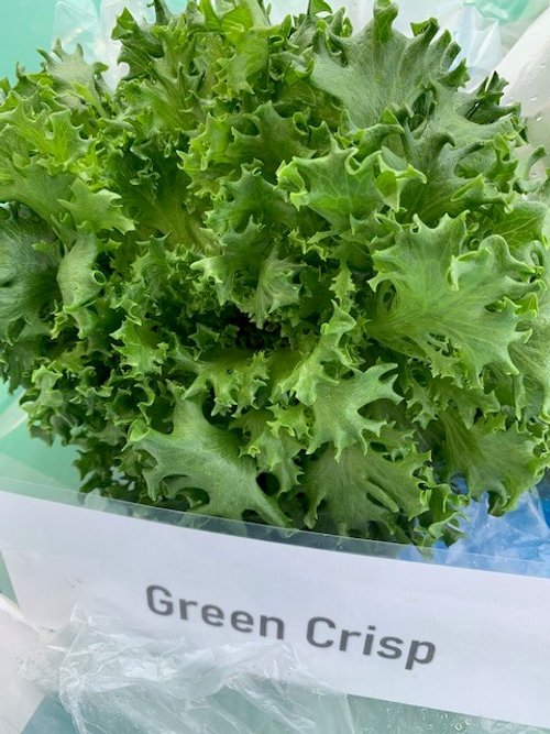 Green Crisp