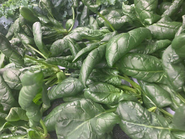 Spinach