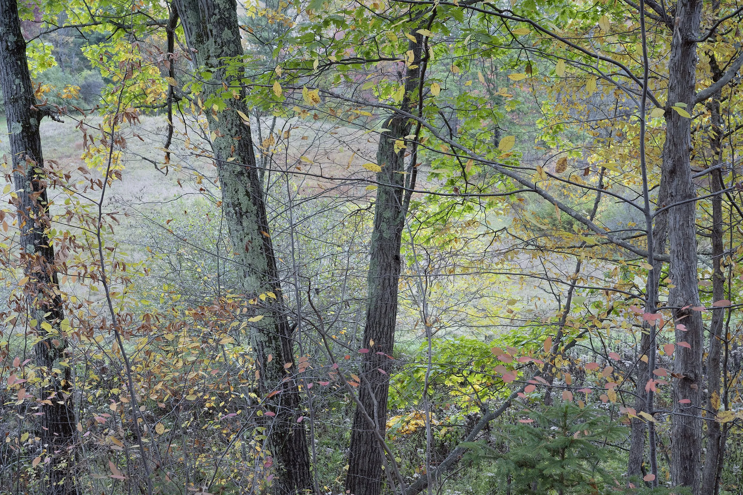 14 October  2025  No. 3214