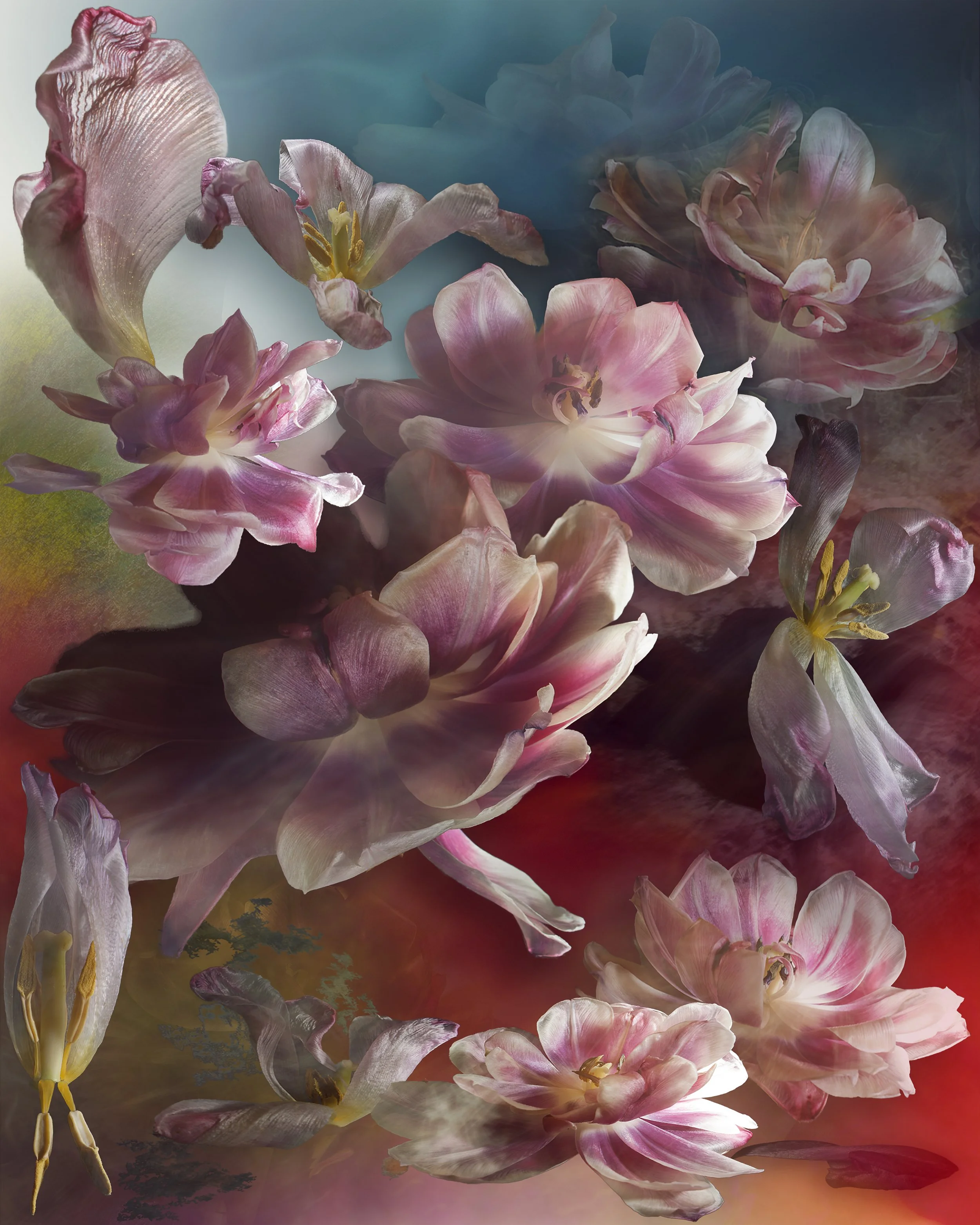 22 February 2026 website2.jpg