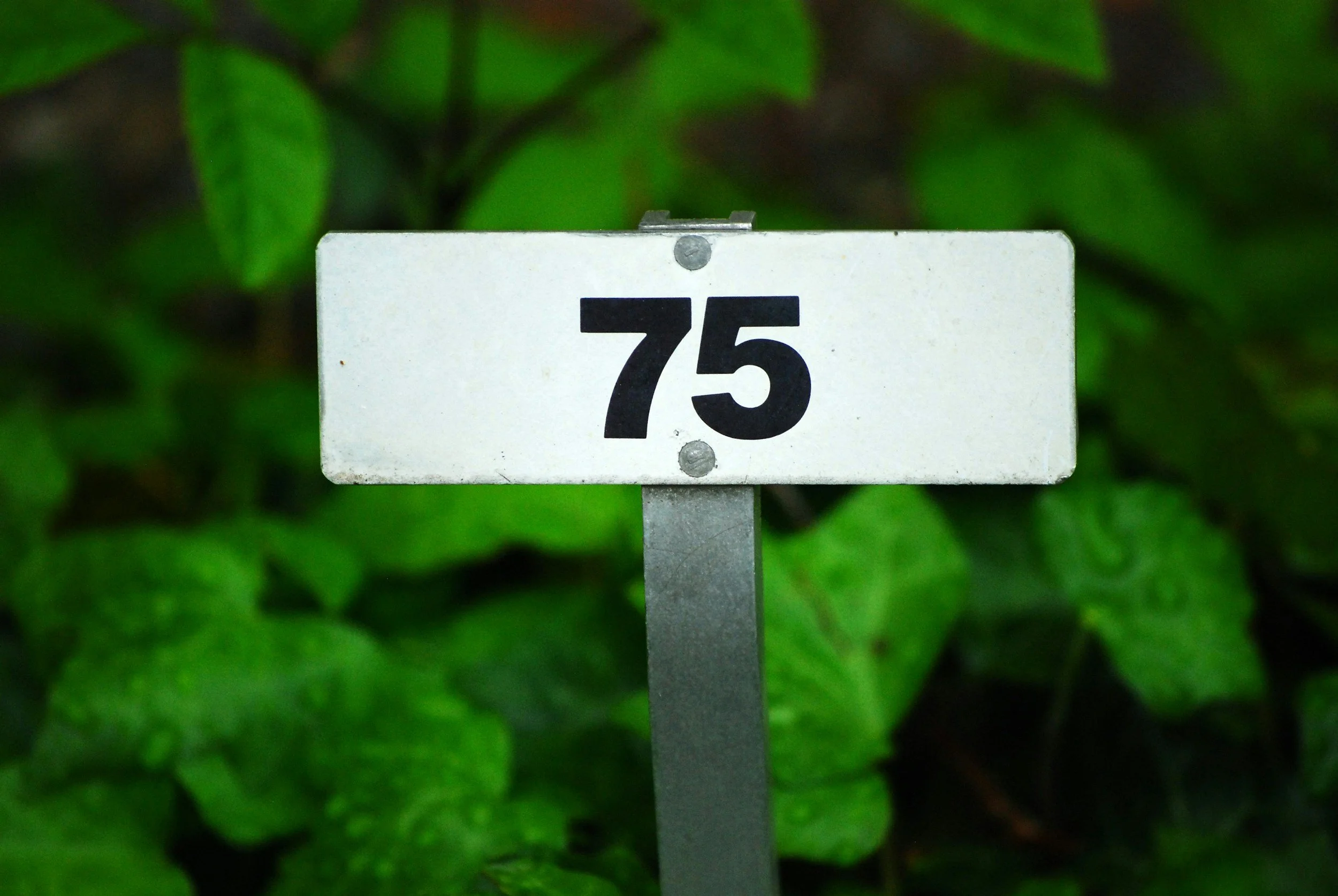 Being 75 and the new normal