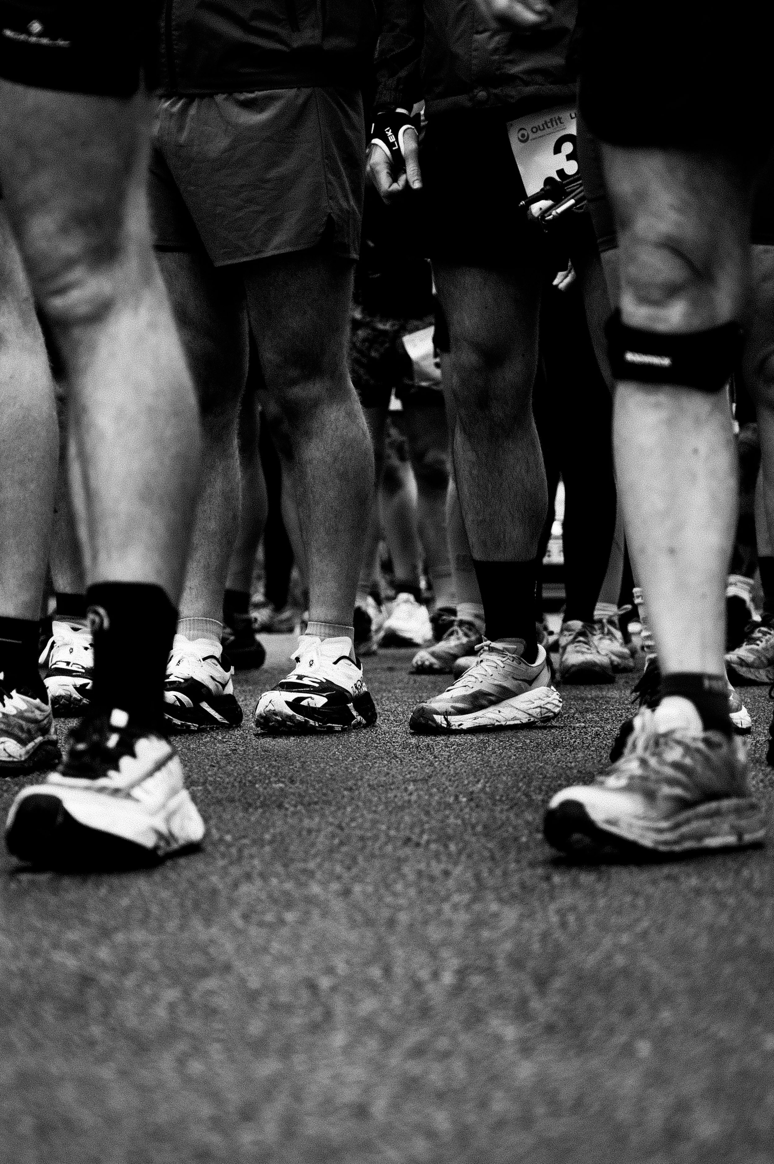 LL50K-3.jpg
