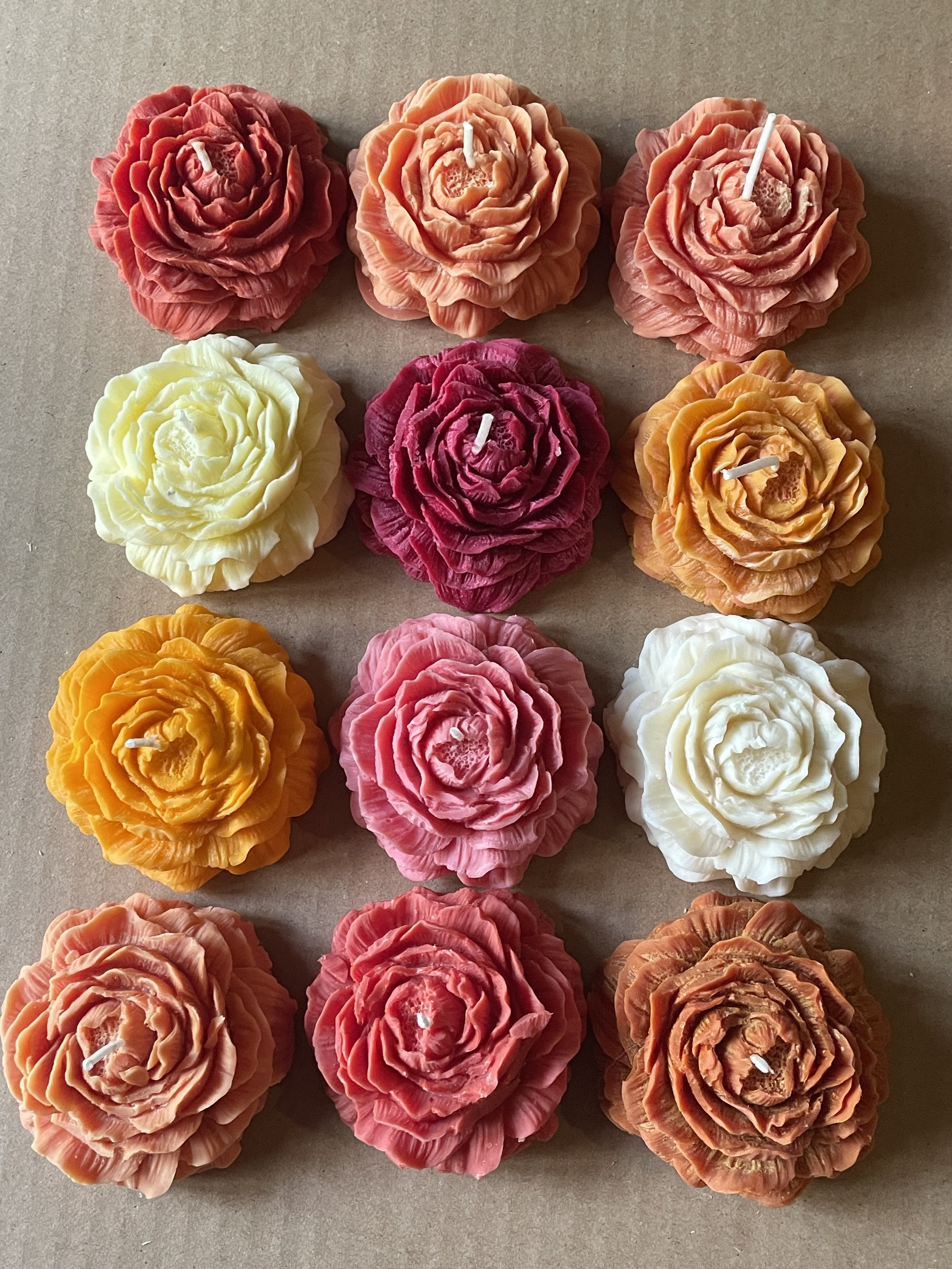 Medium Peony flowers