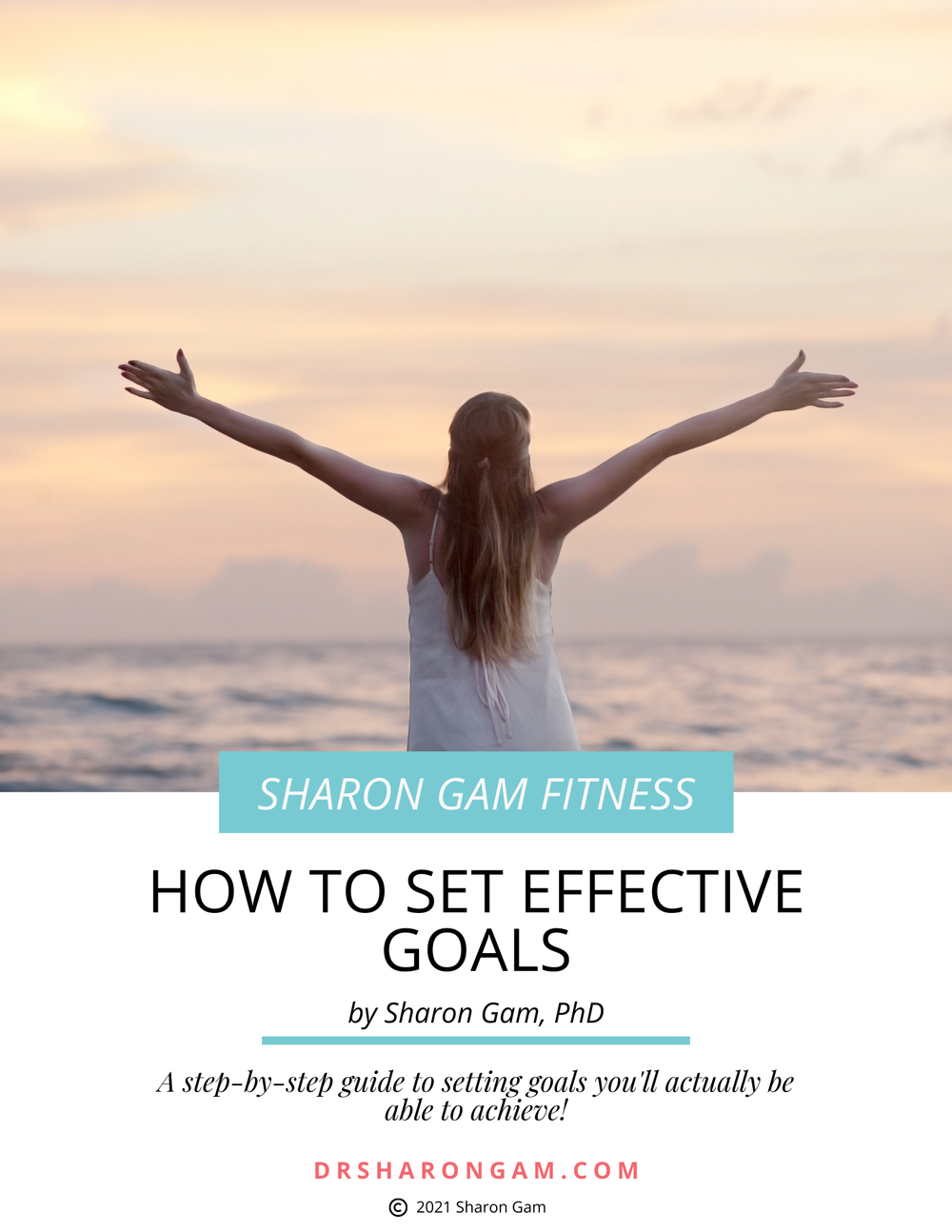 How To Set Effective Goals eBook cover