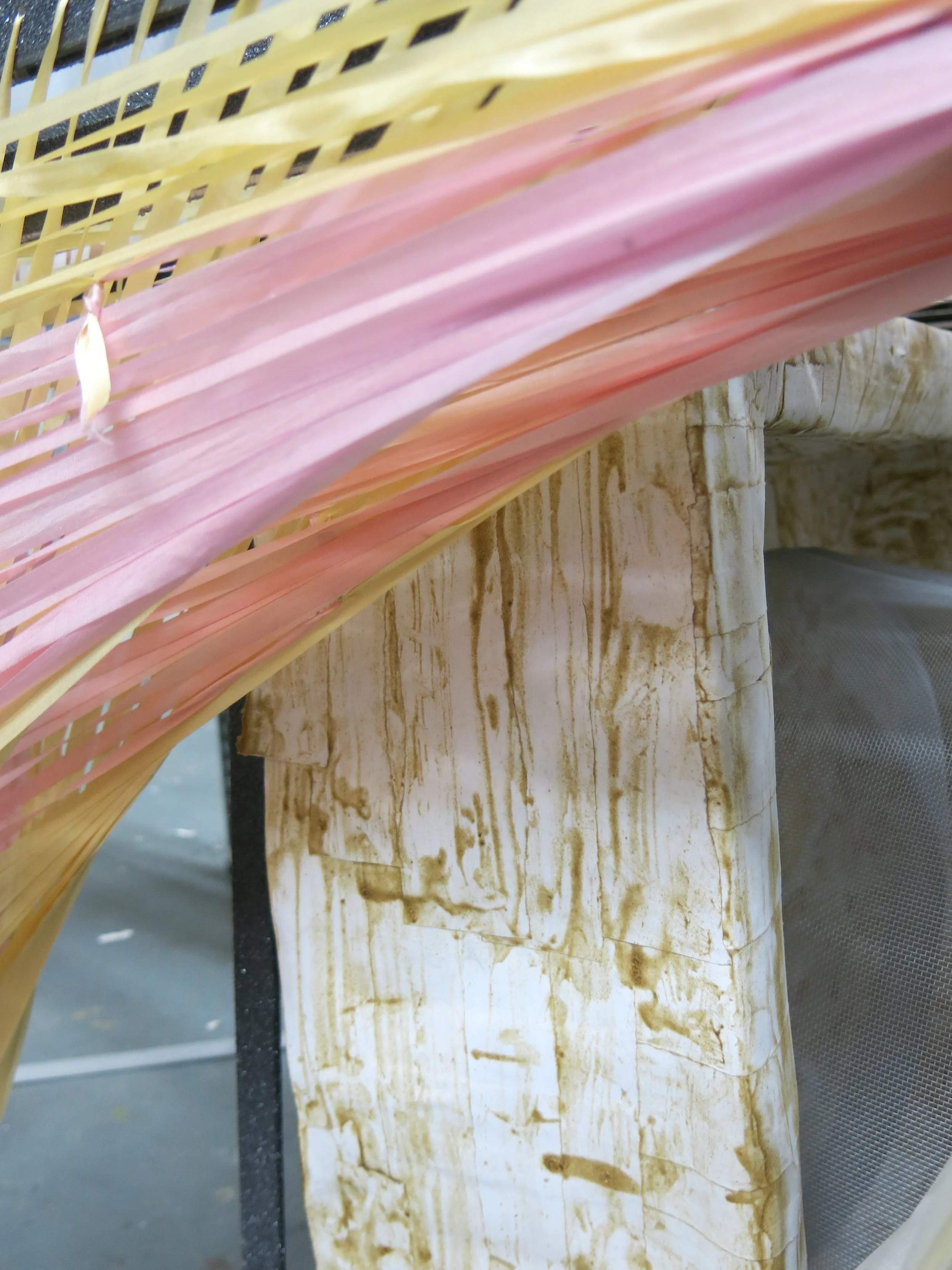 orphan pool, rifle; eczema