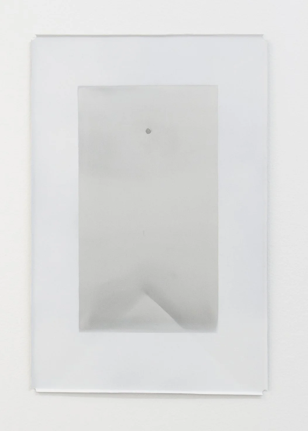 Flower Trays and Silver Movies