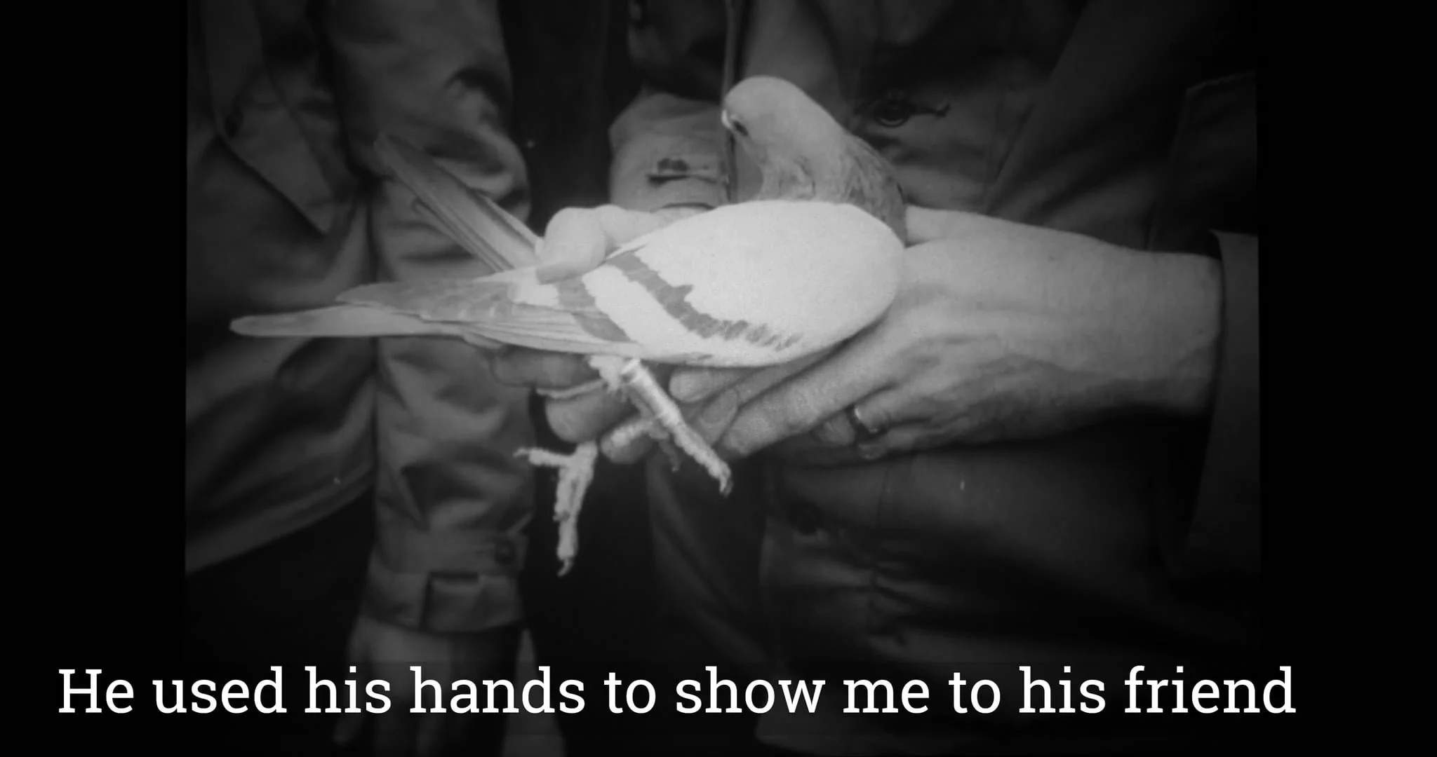 Fly Away—Instrumental