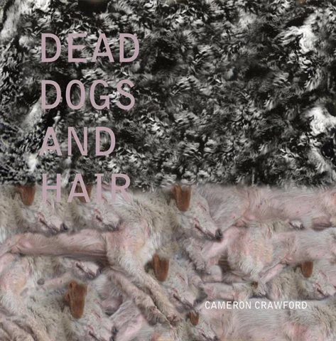 Dead Dogs and Hair