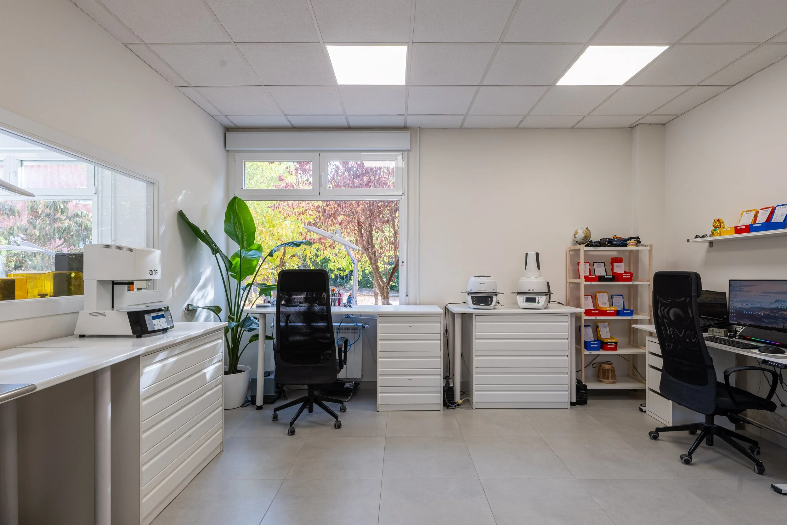 Mint octubre 2025-48.jpg