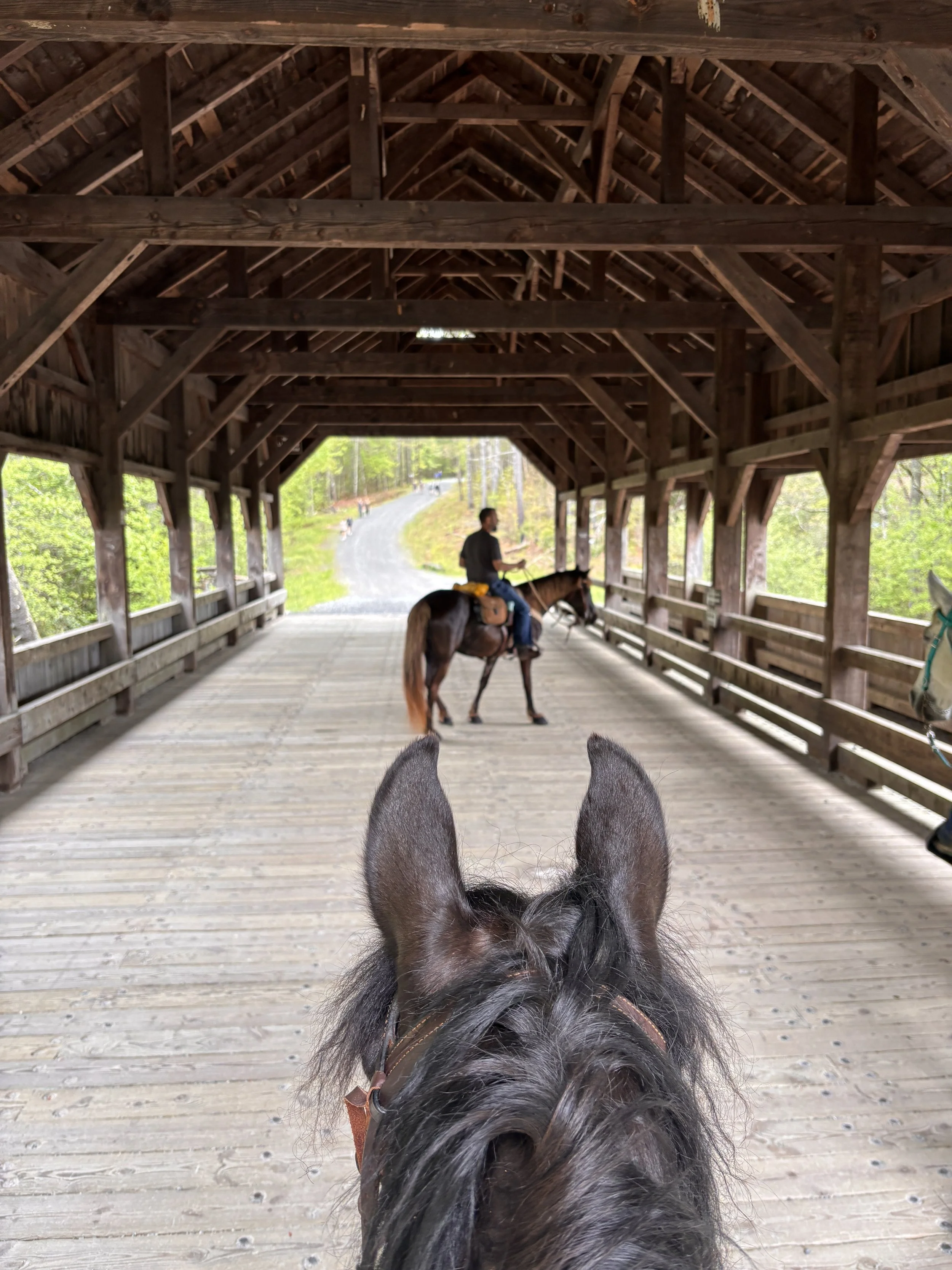 covered bridge.JPG