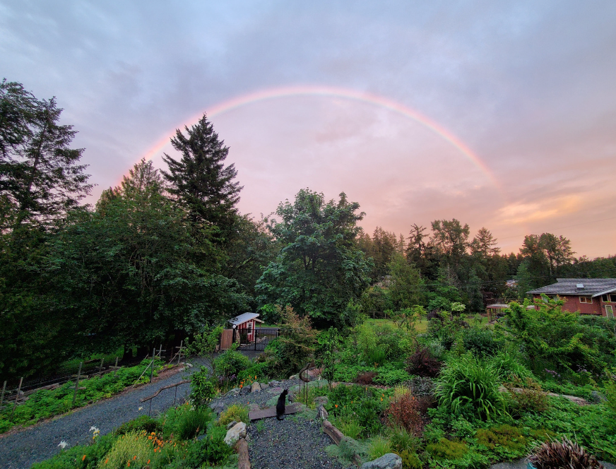 Scenic garden at sunset with a rainbow, trees, and a black cat sitting near a gravel path.
