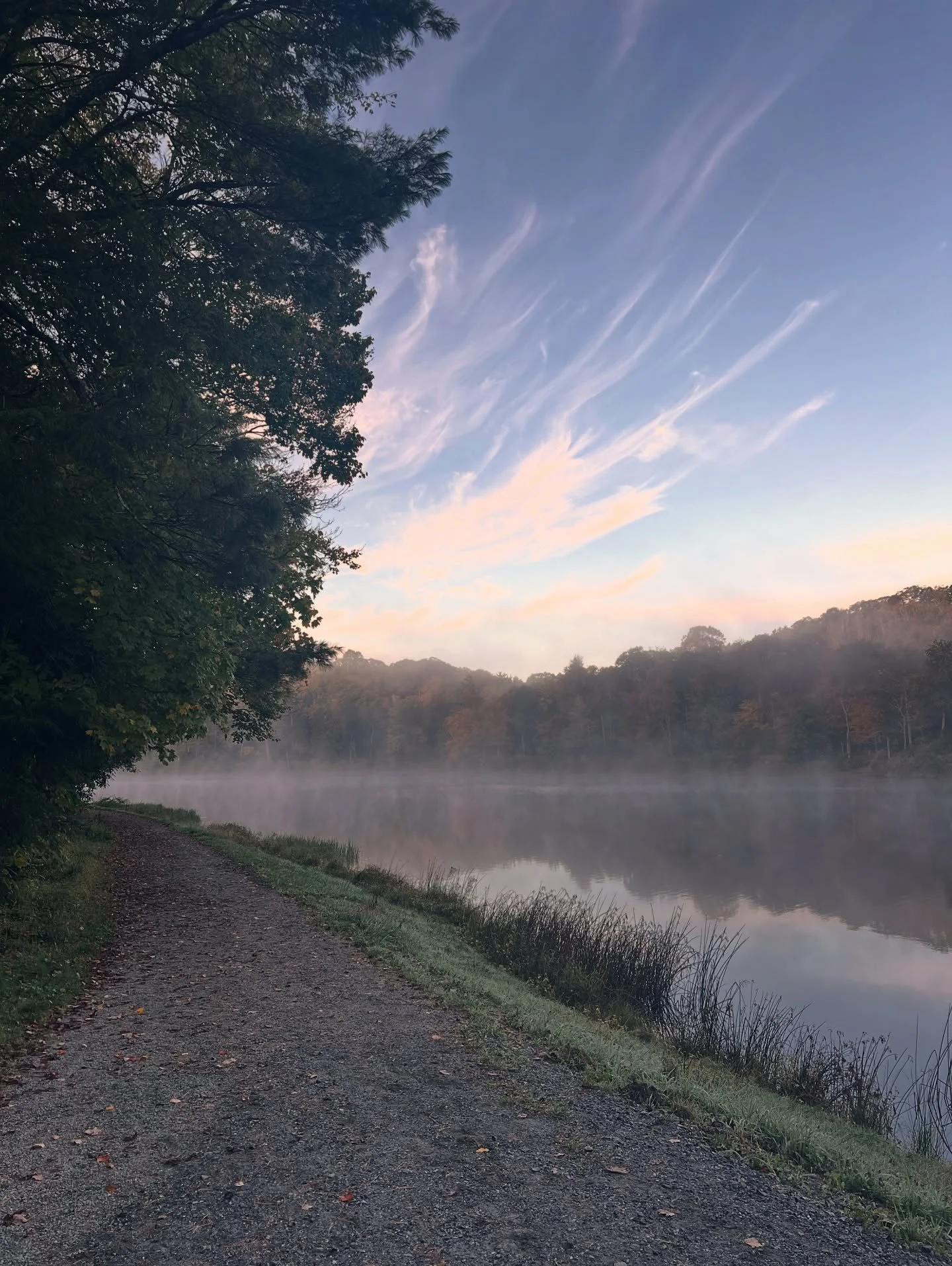 📍Trout Lake, Blowing Rock, NC 
Cruise up Highway 221, hang a right on Blue Ridge Parkway Access then an immediate left on Shulls Mill Road. Travel under the overpass and hang your second right onto a one lane paved road that winds you down to a par