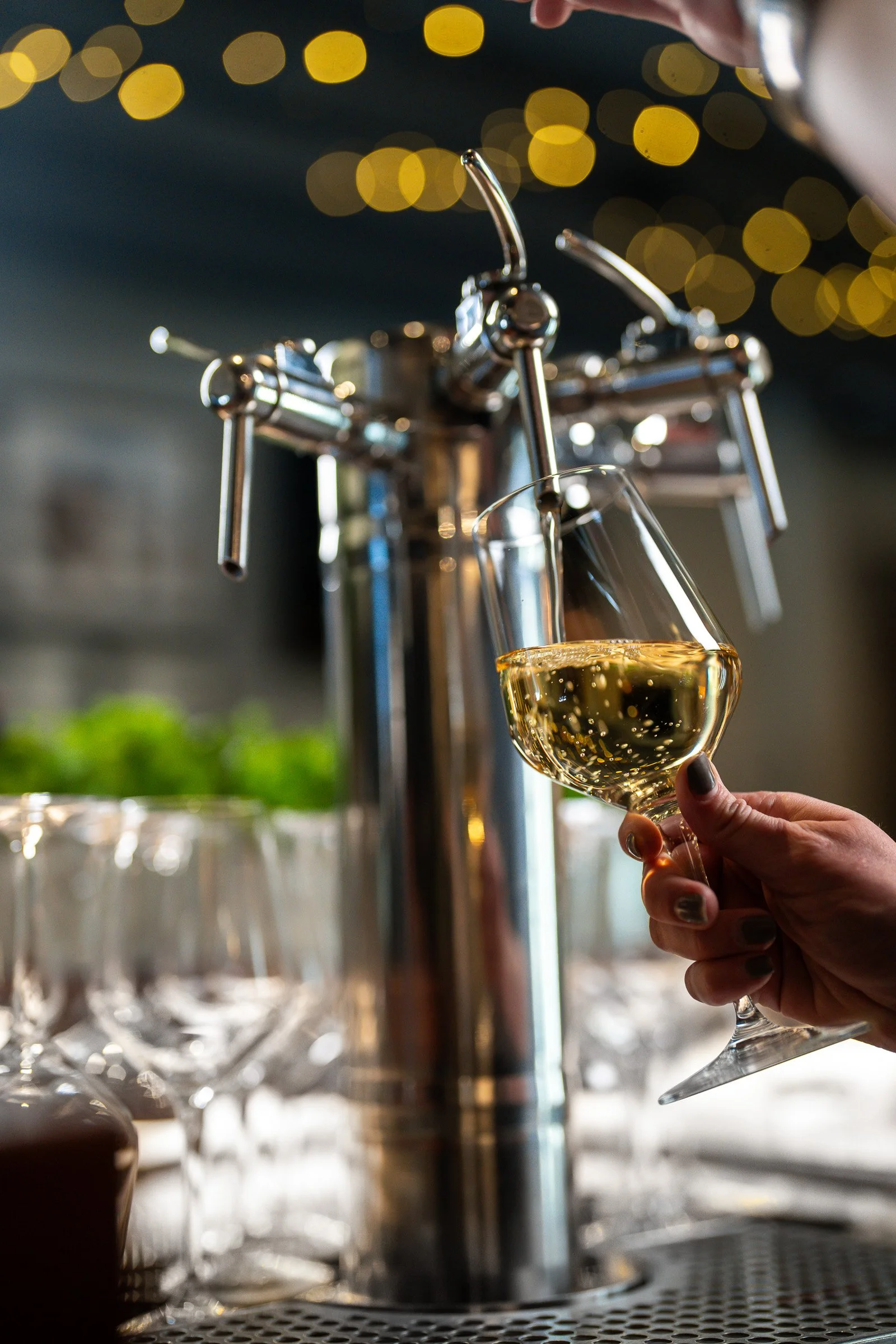 A Wine Program Rooted in Place, Built for Discovery