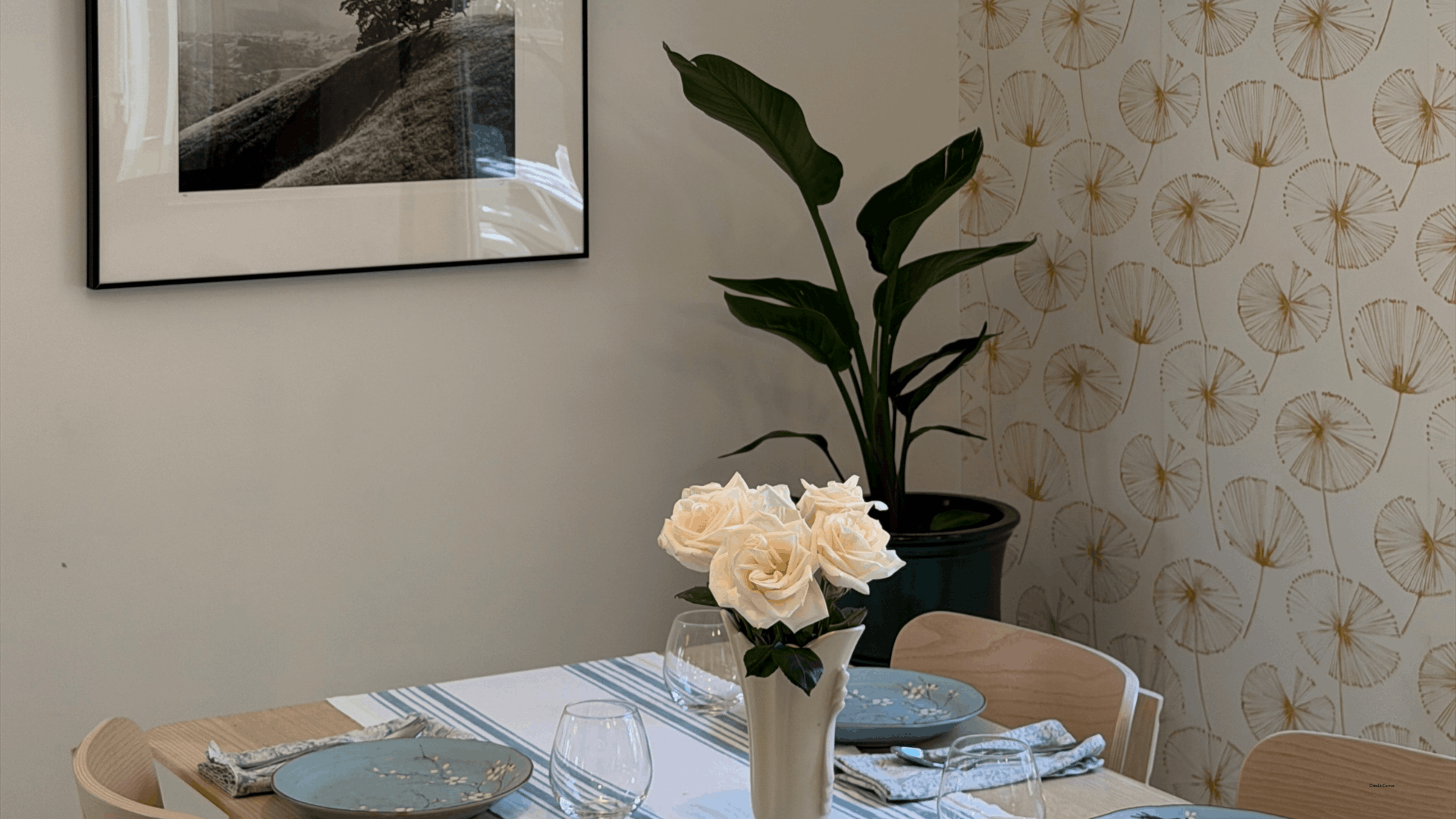 wallpaper removal tips
